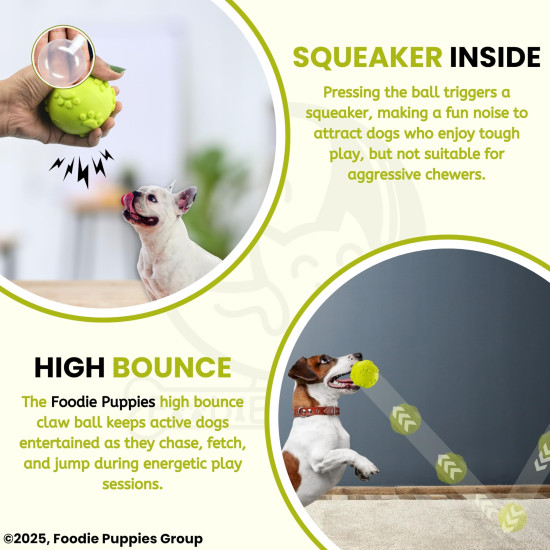 Foodie Puppies Latex Rubber Squeaky Dog Chew Ball Toy - (Claw Ball, Small) Durable and Safe Fetch Teething Dog Toy for Puppies and Small to Medium Dogs, Paw Design Helps to Clean Teeth (Diameter, 6cm)