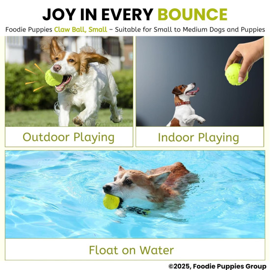 Foodie Puppies Latex Rubber Squeaky Dog Chew Ball Toy - (Claw Ball, Small) Durable and Safe Fetch Teething Dog Toy for Puppies and Small to Medium Dogs, Paw Design Helps to Clean Teeth (Diameter, 6cm)