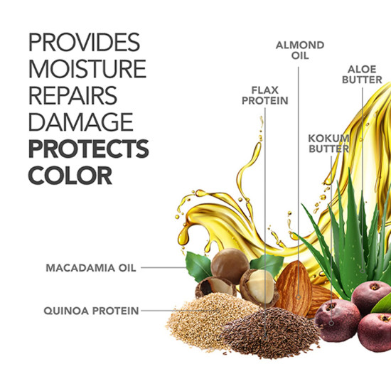 Paradyes Color Care Hair Butter enriched with Quinoa and Flax Protein, Aloe Vera, Kokum & Macadamia Oil to tame Frizzy and Damaged Hair, 200 g