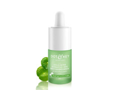 Dot & Key 2% Salicylic Acid + Cica Anti Acne Serum with Zinc | Salicylic Acid Serum for Acne and Dark Spots | Serum for Oily Acne Prone Skin & Sensitive Skin | Oil-Free & Non Comedogenic | 20 ml