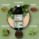 KRISHNA'S HERBAL & AYURVEDA Liver Re-Live Juice 1000 ml | Healthy Liver | Strengthens the digestive system | Goodness of 11 powerful herbs like Makoy, Harshringar, Daru Haridra | Sugar free Juice KRISHNA'S HERBAL & AYURVEDA Liver Re-Live Juice 1000 ml | Healthy Liver | Strengthens the digestive system | Goodness of 11 powerful herbs like Makoy, Harshringar, Daru Haridra | Sugar free Juice