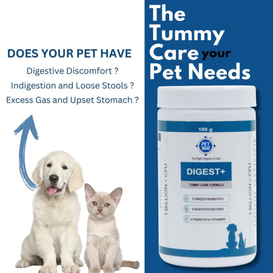 PET360 Digest+ | Tummy Care Formula for Healthy Digestion | Reduces Paw Licking & Scratching | Increased Immunity | Suitable for All Breeds| 100gm Powder