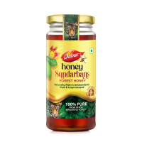 Dabur Honey Sundarbans - 500g | 100% Pure Wild Forest Honey | Raw, Unprocessed Honey | Naturally Rich in Antioxidants