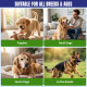Medfly Healthcare Defender Pro Deworming Tablet for Dogs of All Life Stages (Pack of 1) | Natural & Herbal Ingredients | Effective Formula to Kill & Expel Parasites | 10 Tablets Per Pack
