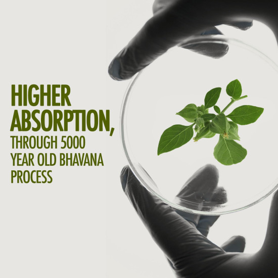 Kapiva Ashwagandha Gold Capsules, 183rd day harvested Potent Nagori Ashwagandha With Gold, Shilajit | Helps in Stress Management, Improve Energy and Stamina | For Men & Women (60 Capsules) - Pack of 2