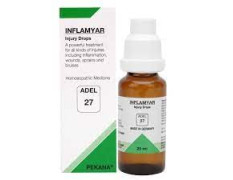 ADEL 27 - Inflamyar