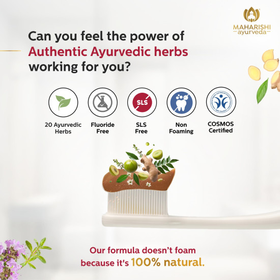 Maharishi Ayurveda Ayurdent Classic Toothpaste | Unique Saliva Balancing Formula | For Toothache, Bleeding Gums, Sensitivity, Cavities, Plaque & Bad breath | Non Foaming, SLS & Fluoride Free Pack of 2