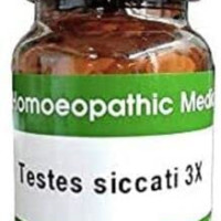 Dr. Reckeweg - Testes Siccati Tablets General Wellness - Pack Of 1 |r15|