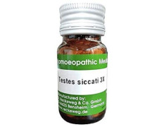 Dr. Reckeweg - Testes Siccati Tablets General Wellness - Pack Of 1 |r15|