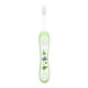 Chicco Toothbrush Green 6M-36M