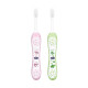 Chicco Toothbrush Set Pink+Green 6M-36M, manual, Baby