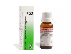 DR RECKEWEG R 32 HYPERHIDROSIS 22 ML RECKEWEG