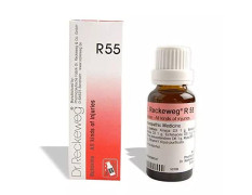 DR RECKEWEG R 55 ALL KIND OF INJURIES 22 ML RECKEWEG
