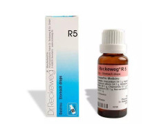 Dr. Reckeweg R 05 Stomach 22 Ml Reckeweg