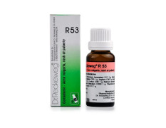 Dr. Reckeweg Dr Reckeweg R 53 Acne Vulgaris 22 ml