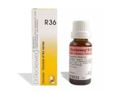 DR RECKEWEG R 36 DISEASES OF THE NERVES 22 ML RECKEWEG