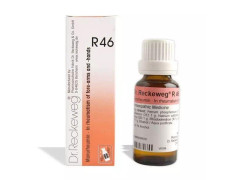 DR RECKEWEG R 46 IN RHEUMATISM OF FORE 22 ML RECKEWEG