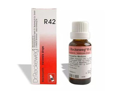 Dr. Reckeweg Dr Reckeweg R 42 Venous Stasis,Varicosis 22 ml