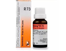 Dr Reckeweg R73 Homeopathic Medicine Joint_Pain - 22ml