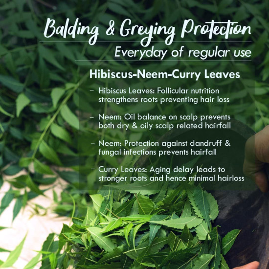 Nat Habit Men's Revital Winter Dasabuti Hair Oil for Hairfall, Dandruff & Greying Control, Scalp Massage, Ayurvedic, Herbal, With 16 Herbs Heat Soaked, Castor, Coconut, Amla - (100ml)