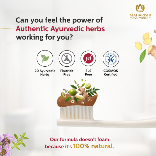 Maharishi Ayurveda Ayurdent Mild Herbal Ayurvedic Toothpaste - All Natural | 21 Ayurvedic herbs| Whitens & Strengthens Teeth | Helps fight Plaque, Tartar, Cavity, & Bad Breath| 75 ML Pack of 2 Maharishi Ayurveda Ayurdent Mild Herbal Ayurvedic Toothpaste - All Natural | 21 Ayurvedic herbs| Whitens & Strengthens Teeth | Helps fight Plaque, Tartar, Cavity, & Bad Breath| 75 ML Pack of 2