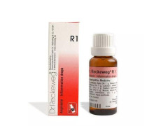 DR RECKEWEG R 01 INFLAMMATION_ 22 ML RECKEWEG