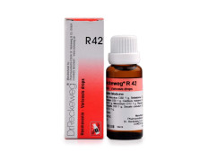 Dr.RECKEWEG R42-Venousstasis, Varicosis Drops (2 X 22)