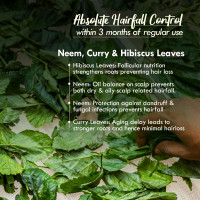 Nat Habit - Back to Natural Secrets Everyday Dual Tooth Wooden Kacchi Neem Comb & TriLeaf Hair NutriMask for Growth, Hairfall Control & Smoothening (Combo Pack of 3) Nat Habit - Back to Natural Secrets Everyday Dual Tooth Wooden Kacchi Neem Comb & TriLeaf Hair NutriMask for Growth, Hairfall Control & Smoothening (Combo Pack of 3)