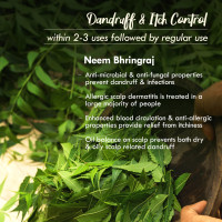 Nat Habit Wide Wooden Kacchi Neem Comb & Neem Bhringraj Hair NutriMask For Hair Growth, Hairfall Control & Hair Smoothening (Combo Pack of 3)