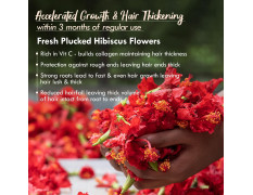 Nat Habit - Back To Natural Secrets Everyday Dual Tooth Wooden Kacchi Neem Comb & Men's Hair NutriMask For Hair Growth, Hairfall Control & Hair Smoothening (Combo Pack of 3)