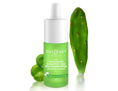 Dot & Key 2% Salicylic Acid + Cica Anti Acne Serum with Zinc | Salicylic Acid Serum for Acne and Dark Spots | Serum for Oily Acne Prone Skin & Sensitive Skin | Oil-Free & Non Comedogenic | 30 ml