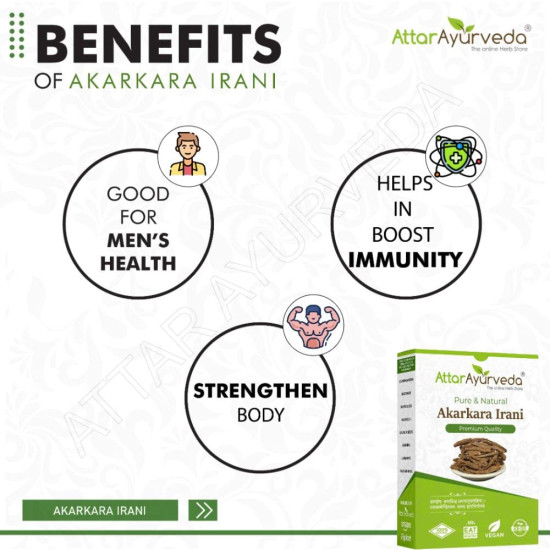 Attar Ayurveda Original Akarkara Powder | Anacyclus Pyrethrum (25 grams)