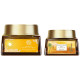 Forest Essentials Soundarya Radiance Cream With 24K Gold & SPF 25& Forest Essentials Eladi Day Cream SPF 30|Designed for Younger Skin|Unisex Face Cream|30 g