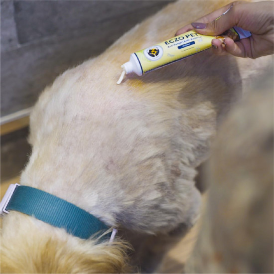 FUR BALL STORY Eczo Pet Anti Fungal & Anti Bacterial Cream|Itchy Skin Treatment for Dogs & Cats | Helps with Eczema, Ringworm, Dermatitis & Skin Infections | Ayurvedic Vet-Approved Formula 60gm