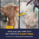 FUR BALL STORY Eczo Pet Anti Fungal & Anti Bacterial Cream|Itchy Skin Treatment for Dogs & Cats | Helps with Eczema, Ringworm, Dermatitis & Skin Infections | Ayurvedic Vet-Approved Formula 60gm