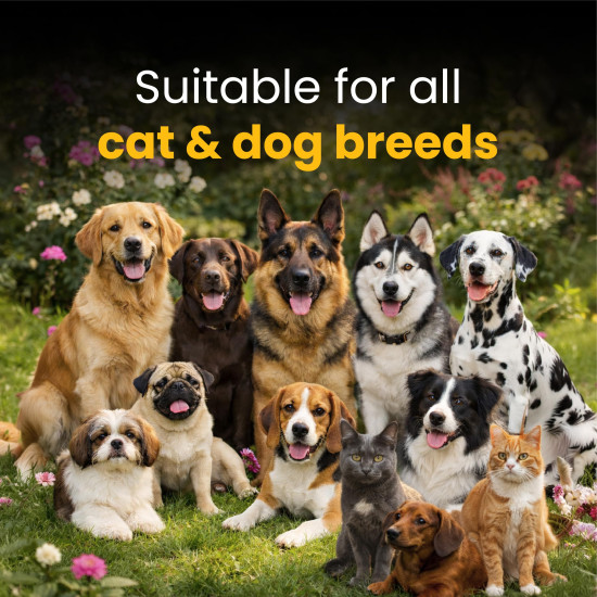 FUR BALL STORY Eczo Pet Anti Fungal & Anti Bacterial Cream|Itchy Skin Treatment for Dogs & Cats | Helps with Eczema, Ringworm, Dermatitis & Skin Infections | Ayurvedic Vet-Approved Formula 60gm