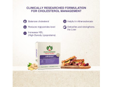 Maharishi Ayurveda Lipomap | Ayurvedic Medicine for Cholesterol Management| Highly Effective Herbs | Assists in managing daily stress (Cholesterol, 40 Count (Pack of 2))