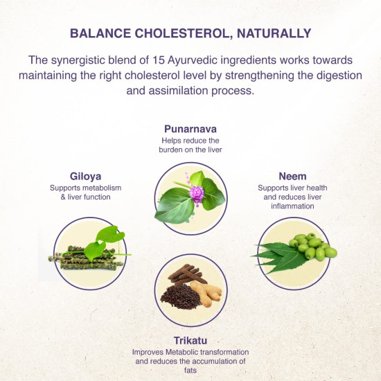 Maharishi Ayurveda Lipomap | Ayurvedic Medicine for Cholesterol Management| Highly Effective Herbs | Assists in managing daily stress (Cholesterol, 40 Count (Pack of 2)) Maharishi Ayurveda Lipomap | Ayurvedic Medicine for Cholesterol Management| Highly Effective Herbs | Assists in managing daily stress (Cholesterol, 40 Count (Pack of 2))