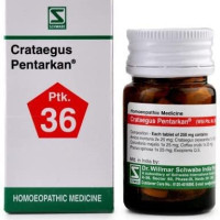 Dr Willmar Schwabe India Crataegus Pentarkan Tablet - |PCR036D|