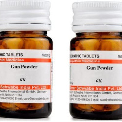 Dr Willmar Schwabe India Gun Powder Trituration Tablet - 6X |GUNP006D|