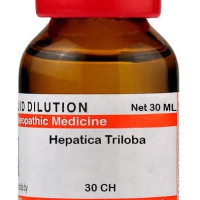 Schwabe Dr Willmar India Hepatica Triloba Dilution - 30 Ch |Hetr130F|