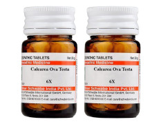 Dr Willmar Schwabe India Calcarea Ova Testa Trituration Tablet - 6X |CAOV006D|