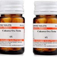 Dr Willmar Schwabe India Calcarea Ova Testa Trituration Tablet - 6X |CAOV006D|