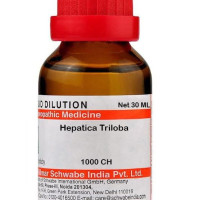 Dr Willmar Schwabe India Hepatica Triloba Dilution - 1000 CH |HETR160F|