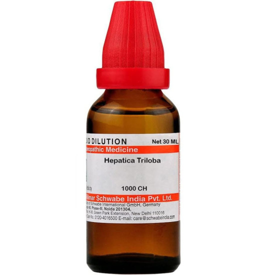 Dr Willmar Schwabe India Hepatica Triloba Dilution - 1000 CH |HETR160F|