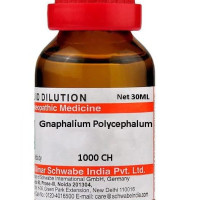 Dr Willmar Schwabe India Gnaphalium Polycephalum Dilution - 1000 CH |GNPO160F|