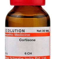 Dr Willmar Schwabe India Cortisone Dilution - 6 CH |CORT106F|