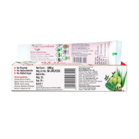Baidyanath Ayurvedant Ayudant Oral Care Toothpaste 100G|From The House Of Baidyanath