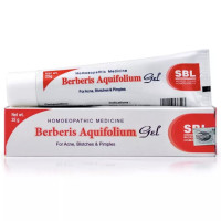 SBL Berberis Aquifolium Gel (2 x 25)