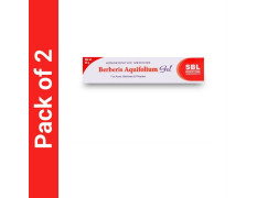 SBL Berberis Aquifolium Gel (2 x 25)